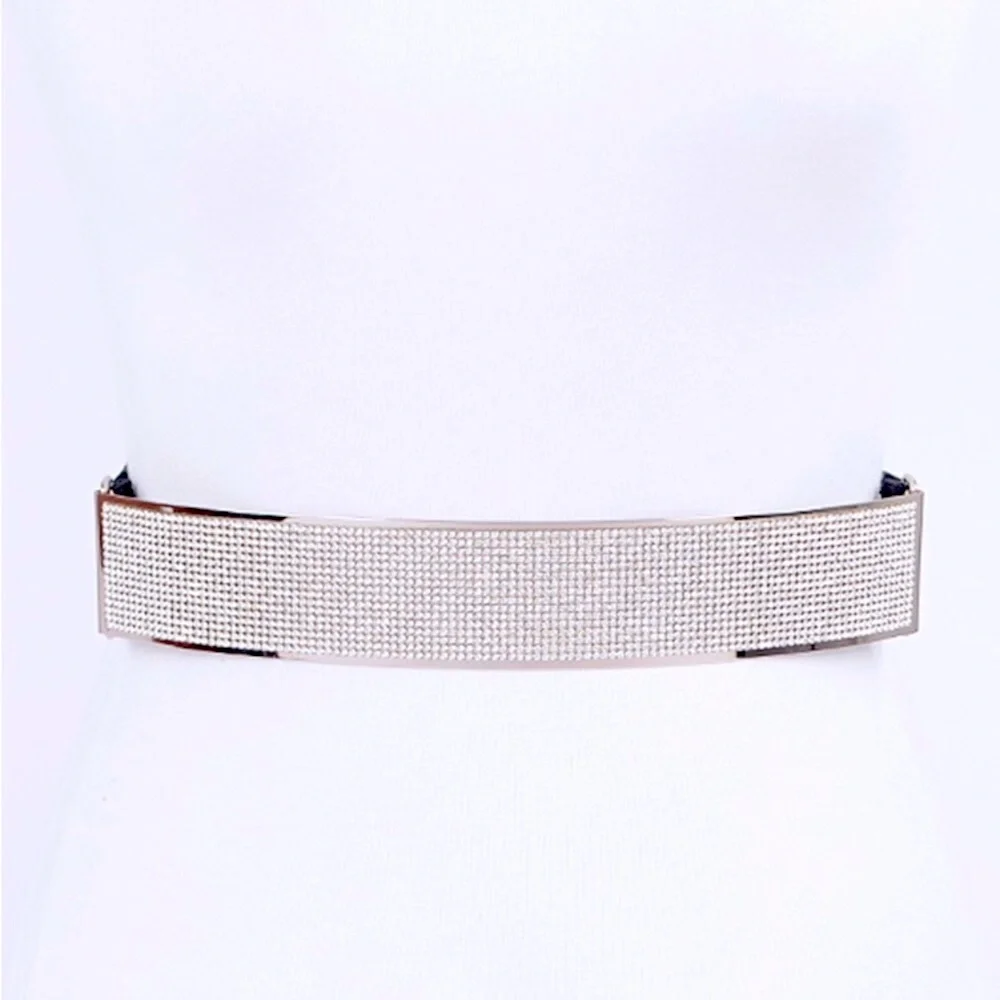 Rhinestone Metallic Plaque Elastic Statement Belt